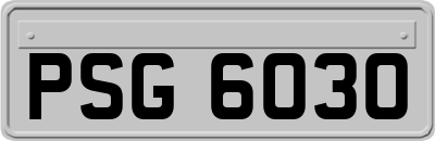 PSG6030
