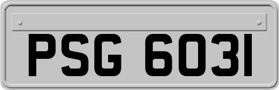 PSG6031