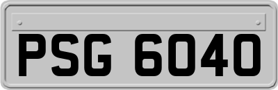 PSG6040
