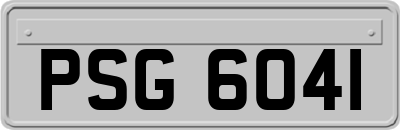 PSG6041
