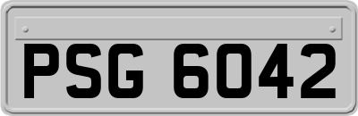 PSG6042