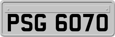 PSG6070