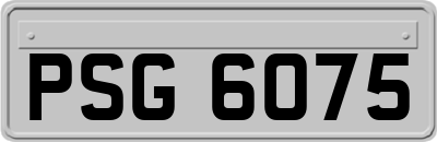 PSG6075