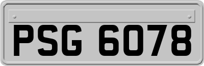 PSG6078