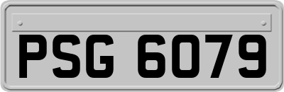 PSG6079