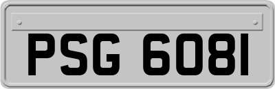 PSG6081