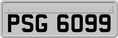 PSG6099
