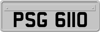PSG6110