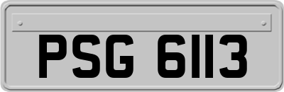 PSG6113