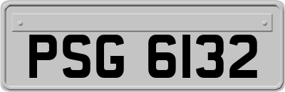 PSG6132