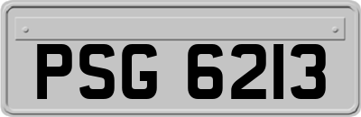 PSG6213