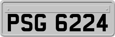 PSG6224