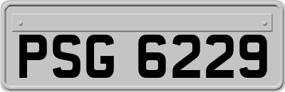 PSG6229