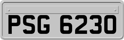PSG6230