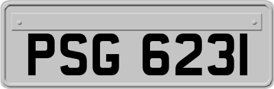PSG6231