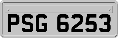 PSG6253