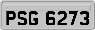 PSG6273