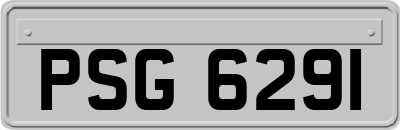 PSG6291