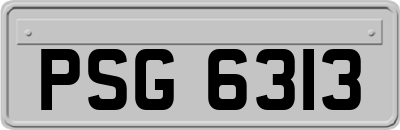 PSG6313