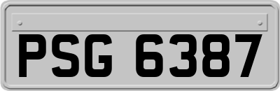 PSG6387