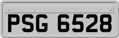 PSG6528