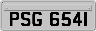 PSG6541