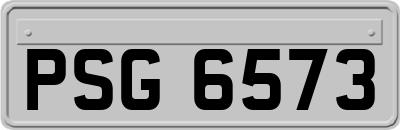 PSG6573