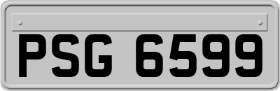 PSG6599