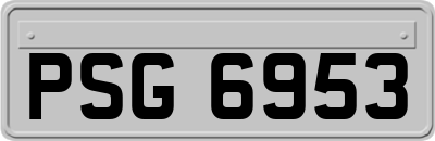 PSG6953
