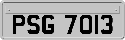 PSG7013