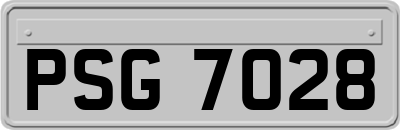 PSG7028
