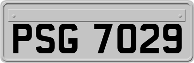 PSG7029