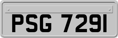 PSG7291