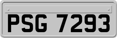 PSG7293
