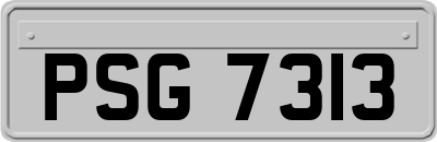 PSG7313