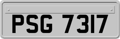 PSG7317