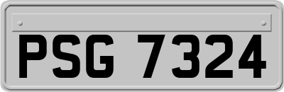 PSG7324