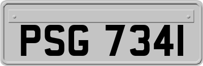 PSG7341