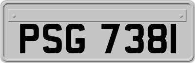 PSG7381