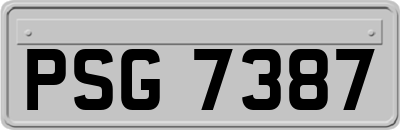PSG7387