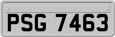 PSG7463