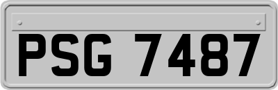 PSG7487