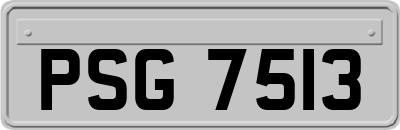 PSG7513