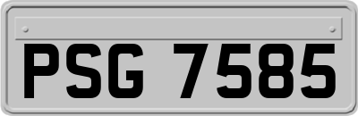 PSG7585
