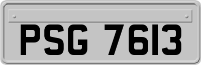 PSG7613