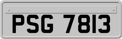 PSG7813