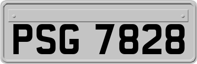 PSG7828