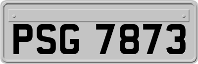 PSG7873