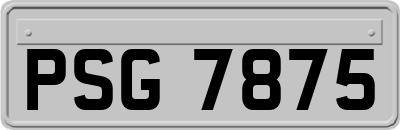 PSG7875
