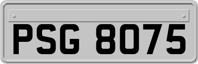 PSG8075